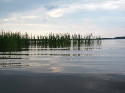 Рыбалка у села Жужеляны в Львовской области-2