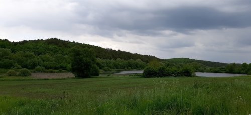 Риболовля в Бариші Тернопільської області