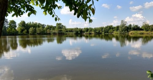 Риболовля в Бариші Тернопільської області