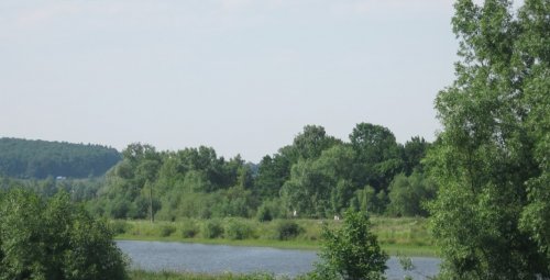 Риболовля в Бариші Тернопільської області