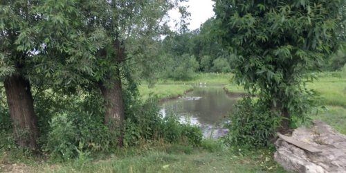 Риболовля в Бариші Тернопільської області