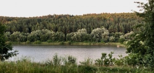 Риболовля в Бариші Тернопільської області