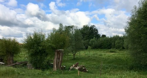 Риболовля в Бариші Тернопільської області