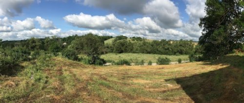 Риболовля в Бариші Тернопільської області