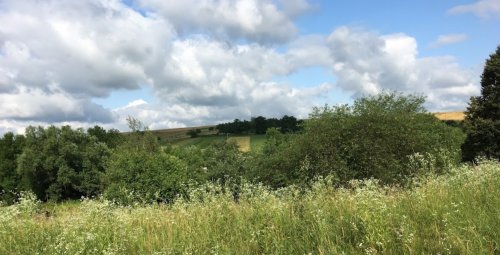 Риболовля в Бариші Тернопільської області