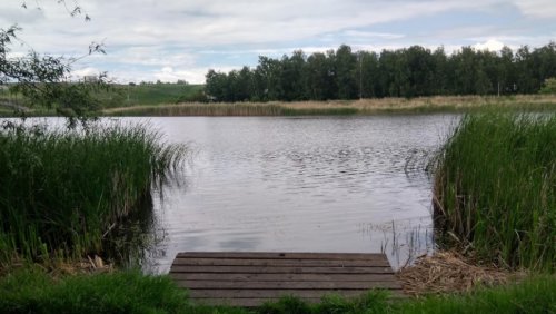 Рыбалка на водоеме в селе Бобровке Харьковской области