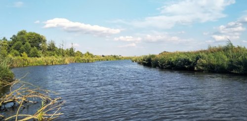Рыбалка в Борщовке в Тернопольской области