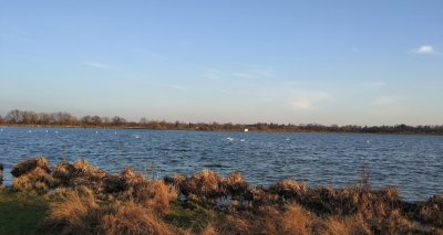 Рыбалка в Борщовке 