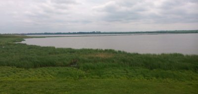 Рыбалка в Борщовке 