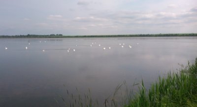 Рыбалка в Борщовке 