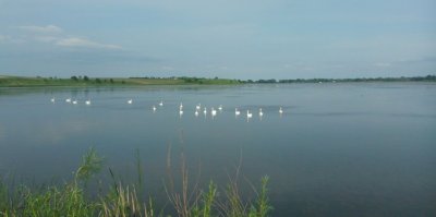 Рыбалка в Борщовке 