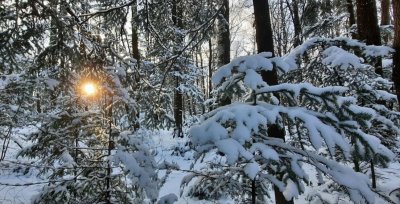 Рибалка у Долині Івано-Франківської області