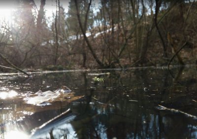 Рибалка у Долині Івано-Франківської області