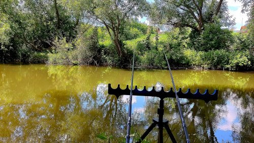 Риболовля в Домаморичі Тернопільської області