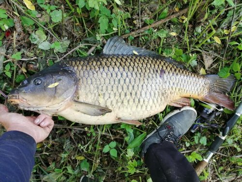 Риболовля в Домаморичі Тернопільської області