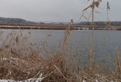 Рыбалка в городе Рава-Русская в Львовской области-2
