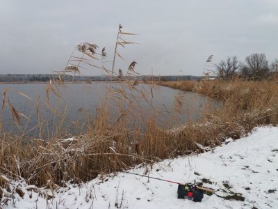 Рыбалка в городе Рава-Русская в Львовской области-3