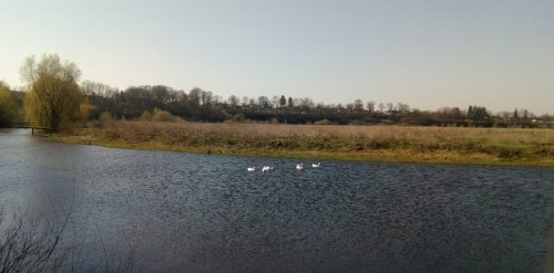 Рибалка в Ішкові Тернопільської області