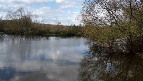 Рибалка в Ішкові Тернопільської області