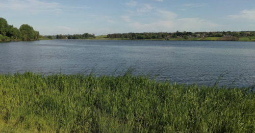 Риболовля в Іванківцях Тернопільської області