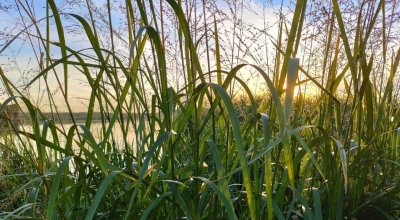 Рыбалка в Козовой