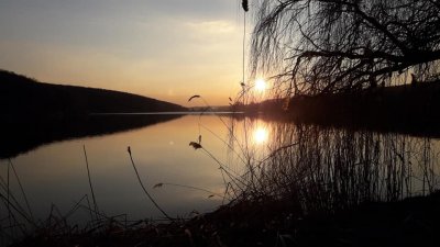 Риболовля в Липцях Харківської області