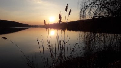 Риболовля в Липцях Харківської області