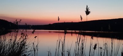 Риболовля в Липцях Харківської області