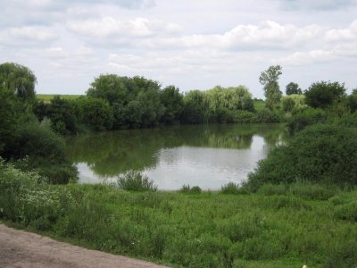 Риболовля в Магдаліївці  в Тернопільській області