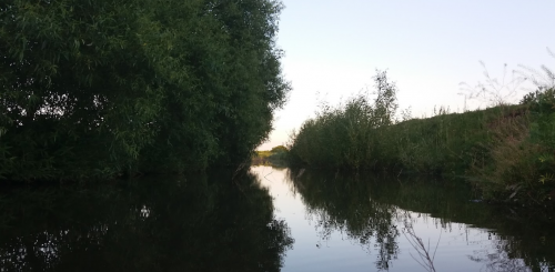 Риболовля в Магдаліївці  в Тернопільській області