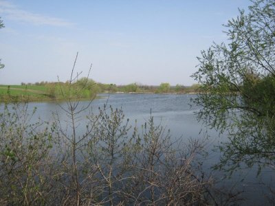 Риболовля в Магдаліївці  в Тернопільській області