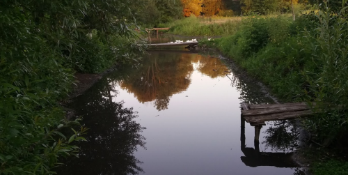 Риболовля в Магдаліївці  в Тернопільській області