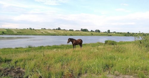 Риболовля в Мала Плавуча Тернопільської області