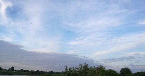 Риболовля в Мала Плавуча Тернопільської області