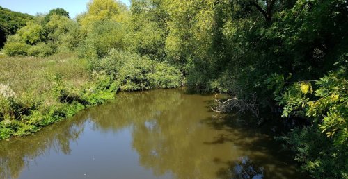 Риболовля в Мала Плавуча Тернопільської області