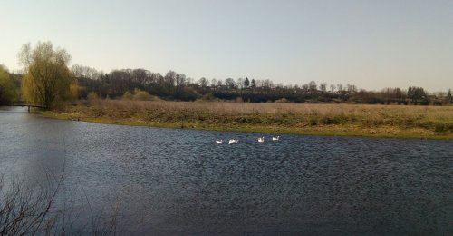 Риболовля в Мала Плавуча Тернопільської області