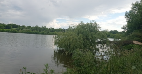 Риболовля в Малій Білці Тернопільської області