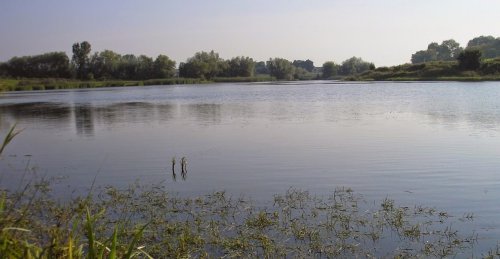 Риболовля в Мухавці Тернопільської області