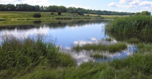Риболовля в Мухавці Тернопільської області