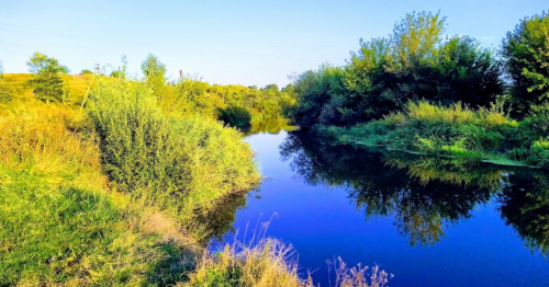 Риболовля в Нападівці Тернопільської області