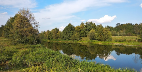 Риболовля в Нападівці Тернопільської області