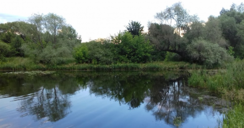 Риболовля в Нападівці Тернопільської області