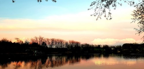 Риболовля в Оленівці на річка Голодні Стави вТернопільській області