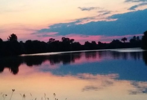 Риболовля в Оленівці на річка Голодні Стави вТернопільській області