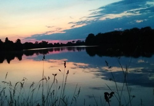 Риболовля в Оленівці на річка Голодні Стави вТернопільській області