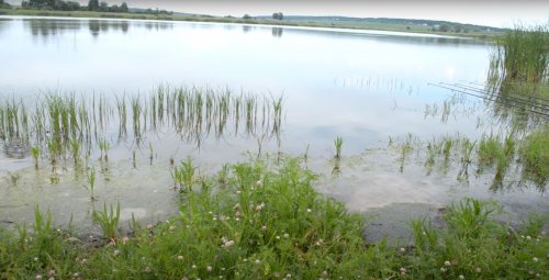 Риболовля в Оришківцях Тернопільської області