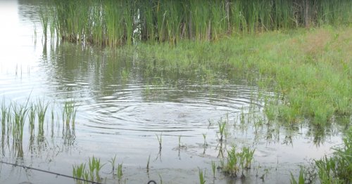 Риболовля в Оришківцях Тернопільської області