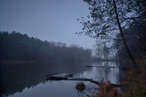 Рыбалка в посёлке Оржев в Ровенской области-3