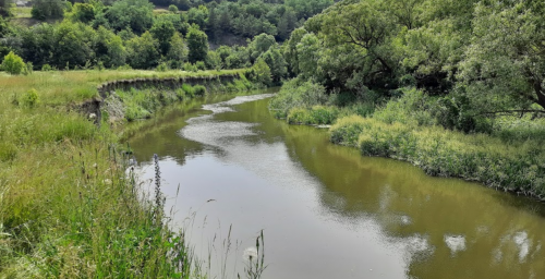 Риболовля в селі Ратищах в Тернопільській області