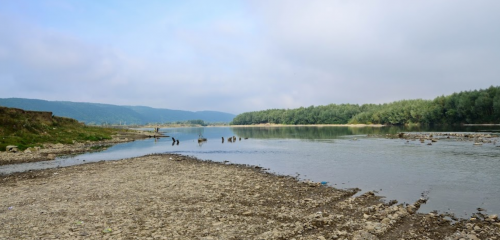 Риболовля в селі Ратищах в Тернопільській області